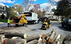 Trusted Hampton, IA Tree Removal and Landscaping Services Experts